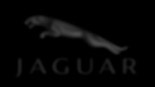 Jaguar Official Site
